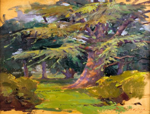 Tree Study